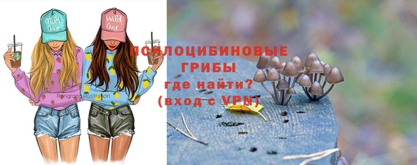 гидропоника Баксан